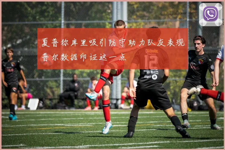夏普称库里吸引防守助力队友表现普尔数据印证这一点